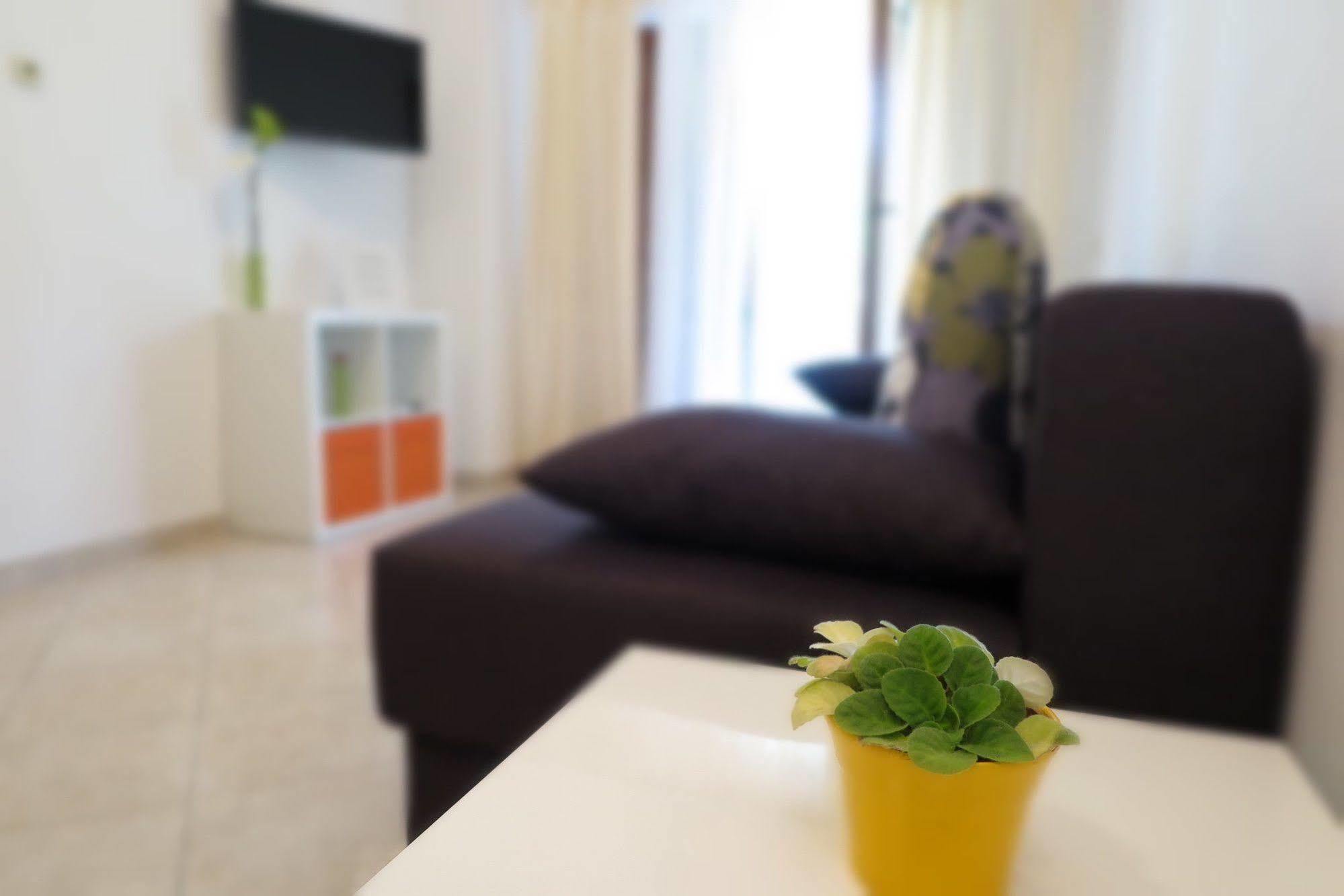 Apartments Vanda ロヴィニ エクステリア 写真