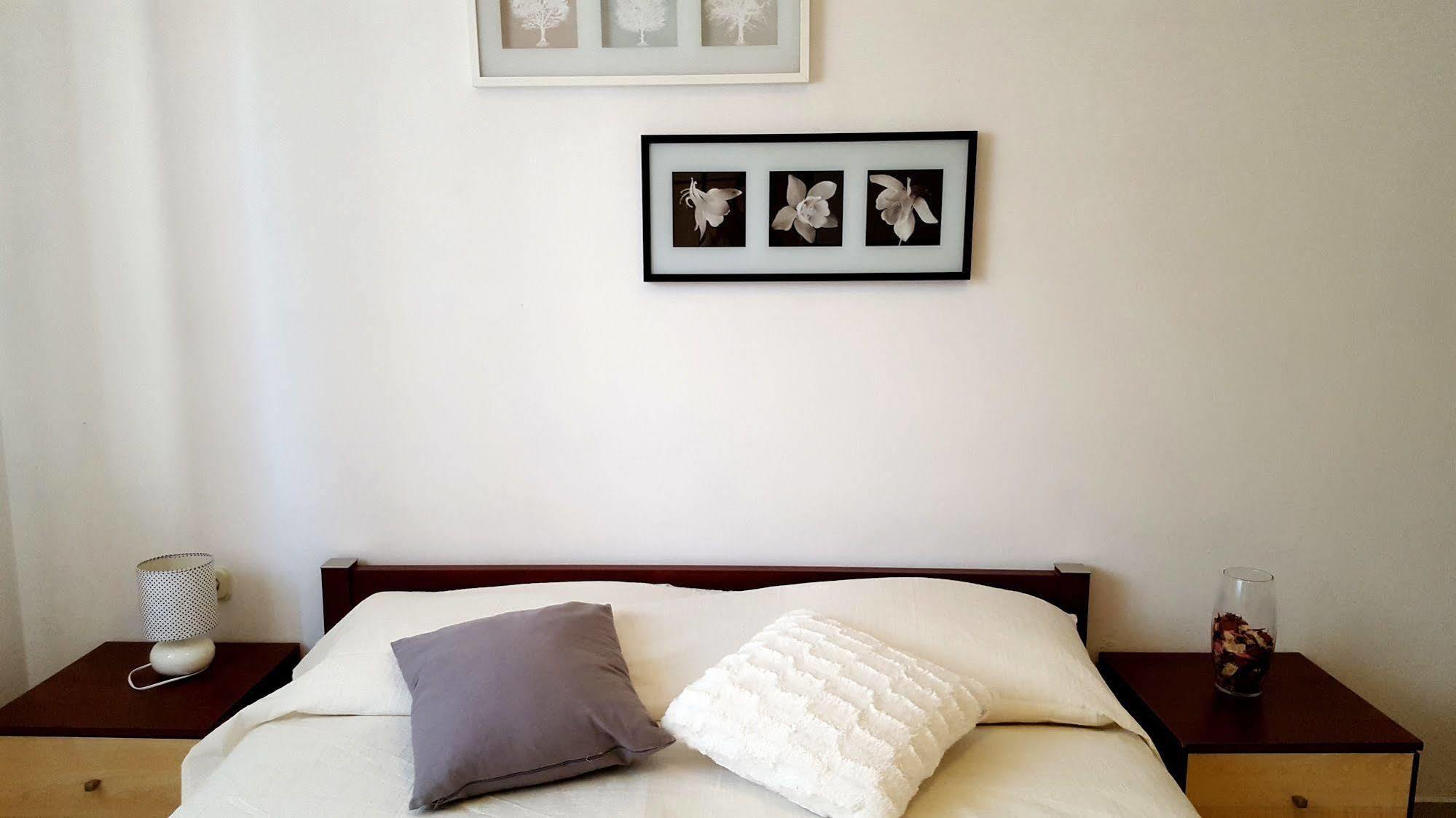Apartments Vanda ロヴィニ エクステリア 写真